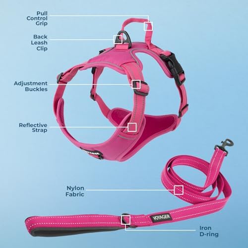 Voyager Dog Harness Dual Leash Attachment No-Pull Control Adjustable Soft but Strong Pet Harness for Medium and Large Dogs with 3M Reflective Technology, Leash Set Fuchsia Nylon, S (Chest: 16-20") - Image 3