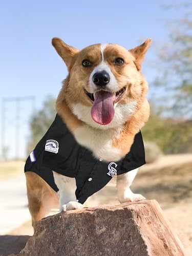 Official MLB Colorado Rockies Pet Jersey for Dogs & Cats, Size Large - Stylish Baseball Jersey for Your Furry Fan- Show Off Team Spirit with The Perfect Fan Apparel Gear for Pet, Dog & Cat - Image 4