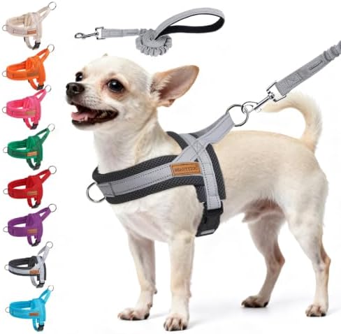 BEAUTYZOO Small Dog Harness and Leash Set, No Pull Step in Puppy Vest by BEAUTYZOO