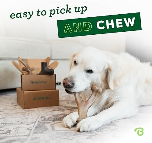 Benebone Medium 4-Pack Dog Toys for Aggressive Chewers – Under 60 lbs - Image 2