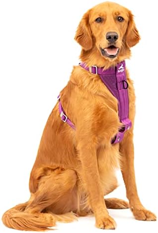 Kurgo Enhanced Strength Tru-Fit Smart Harness, Deep Violet, Extra Large, by Kurgo