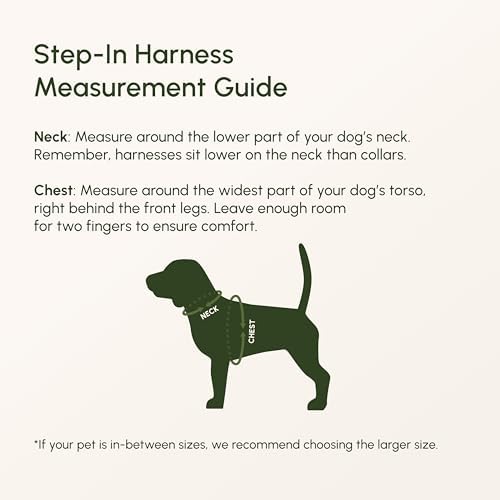 Downtown Pet Supply Step in Dog Harness for Small Dogs - Adjustable, Escape Proof Dog Harness with Reflective Trim - All-Weather, Fast-Drying Padded Mesh Fabric - Baby Pink, XS - Image 5
