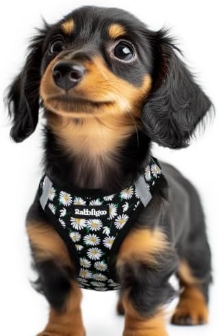 rabbitgoo Step-in Small Dog Harness, Puppy Vest for Small Sized Pet by rabbitgoo