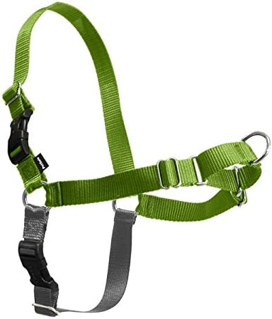 PetSafe Easy Walk Harness for Dogs - Pull-Free Walks - Patented Martingale Loop Design - Front Chest Leash Attachment - Comfort Straps - Breathable Harness Design - Petite/Small, Apple Green/Gray by PetSafe
