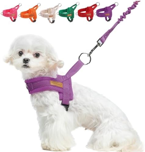 BEAUTYZOO Small Dog Harness and Leash Set, No Pull Step in Puppy Vest by BEAUTYZOO