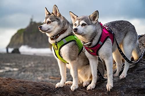 EcoBark Step in Dog Harness, Comfortable & Secure Soft Mesh Vest, XL - Image 5