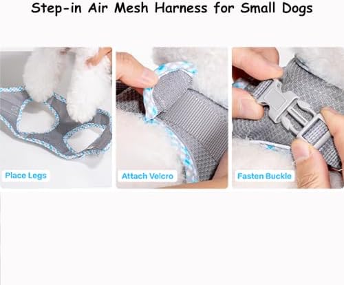 Petank Step in Dog Harness No Pull and Leash for Small Medium Dogs Cats. - Image 6
