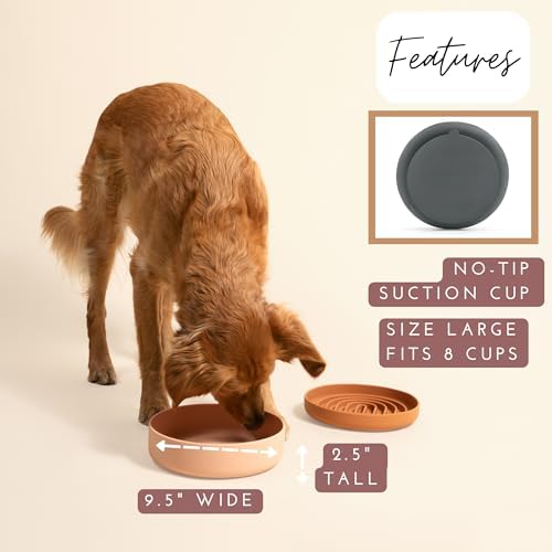 The Perfect Dish - Silicone Dog Bowl for Food & Water, 9.5" x 2.5"- Spruce - Image 3