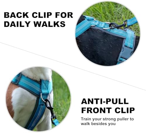Plutus Pet No Pull Dog Harness, Adjustable Nylon Harness with Soft Padding - Image 4