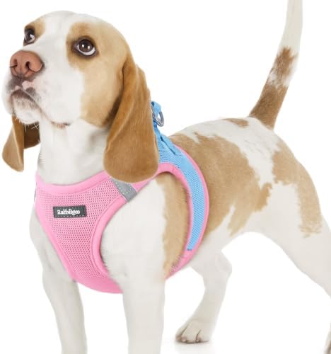 rabbitgoo Step-in Small Dog Harness, Puppy Vest for Small Sized Pet by rabbitgoo