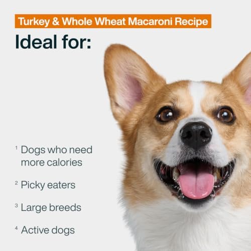 JustFoodForDogs Pantry Fresh Wet Dog Food Complete Meal or Dog Food Topper, Turkey & Whole Wheat Macaroni Human Grade Dog Food Recipe - 12.5 oz (Pack of 12) - Image 3