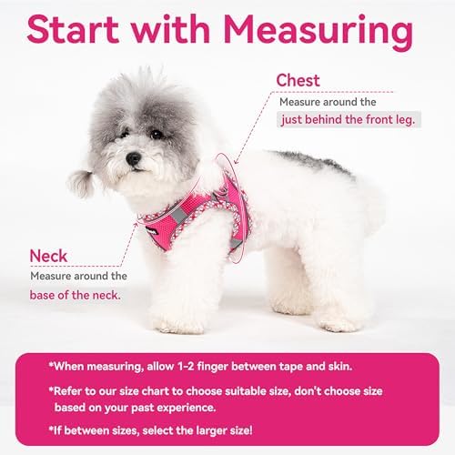 Petank Step in Dog Harness No Pull and Leash for Small Medium Dogs Cats. - Image 5
