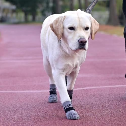 KOOLTAIL Dog Socks for Hot/Cold Pavement to Prevent Licking Paws for Small Medium Large Senior Dogs,Dog Boots&Paw Protector for Hardwood Floors Anti Slip,Traction Control No Twist Grip Booties L - Image 6