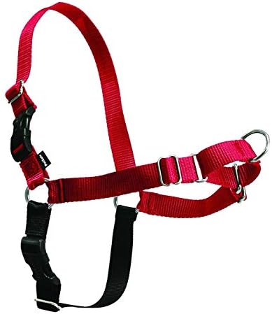 PetSafe Easy Walk Harness Small/Medium Red/Black for Dogs by PetSafe