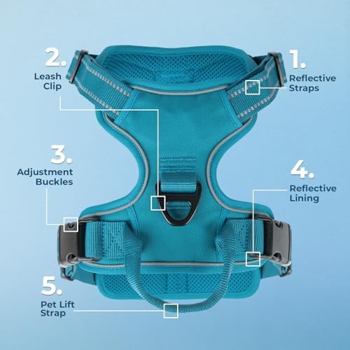 Voyager Dual Attachment No Pull Harness - Turquoise, Large - Image 2