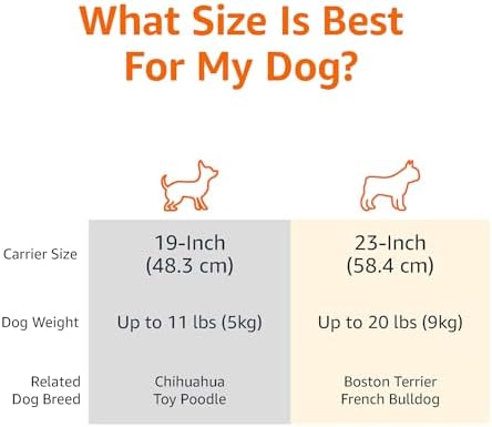 Amazon Basics 2-Door Top-Load Hard-Sided Pet Travel Carrier for Cats and Small Dogs, 19" L x 12.6" W x 10" H, Gray & Blue - Image 3