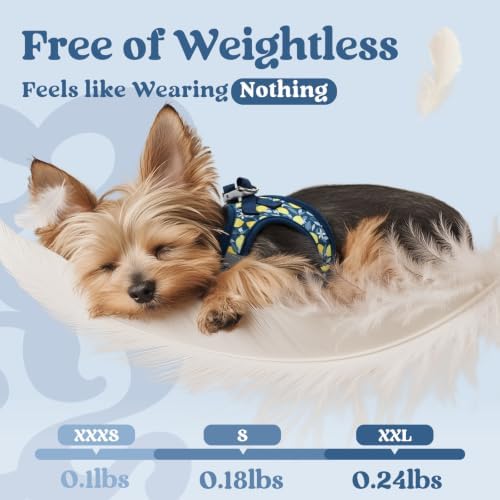 rabbitgoo Step-in Small Dog Harness, Puppy Vest for Small Sized Pet - Image 4