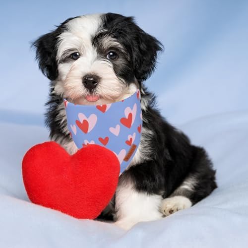 ADOGGYGO Valentine Dog Bandana, Blue Pink Heart Pet Scarf, Premium Durable Fabric, Adjustable Fit Pet Valentine Bandanas for Small Dogs Puppies (Small) - Image 3