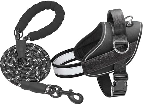 Haapaw Essential Dog Harness, No Pull Pet Vest with 3 Leash Clips, No Choke, Reflective, Adjustable and Padded, for Easy Walking and Training for Large Dogs(L, Black) by haapaw
