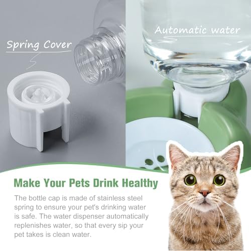 Dog Bowls, Cat Food and Water Bowl Set with Water Dispenser and Stainless Steel Bowl for Cats and Small Dogs - Green - Image 4
