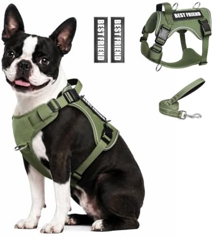 WINSEE No Pull Tactical Dog Harness with Leash Set with 2 Patches by WINSEE