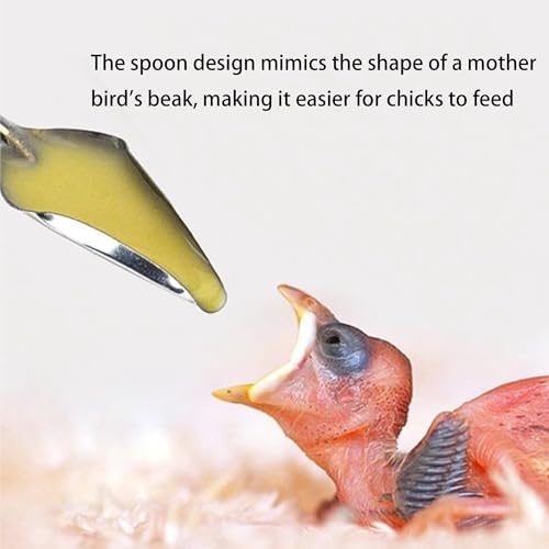 8 pcs Bird Feeding Syringe Set,Small Bird Pet Parrot Feeder Tubes - Image 6