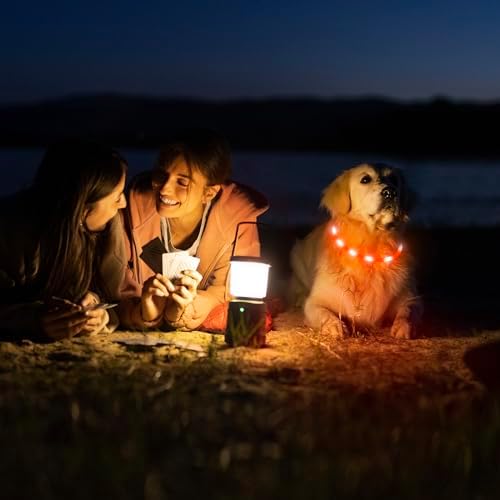 HIGO LED Dog Collar, Rechargeable Light Up Dog Collars, Lightweight Silicone Pet Safety Collar Lights for Night Walking (Orange-Silicone) - Image 6