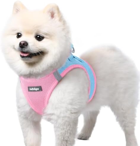 rabbitgoo Step-in Small Dog Harness, Puppy Vest for Small Sized Pet by rabbitgoo