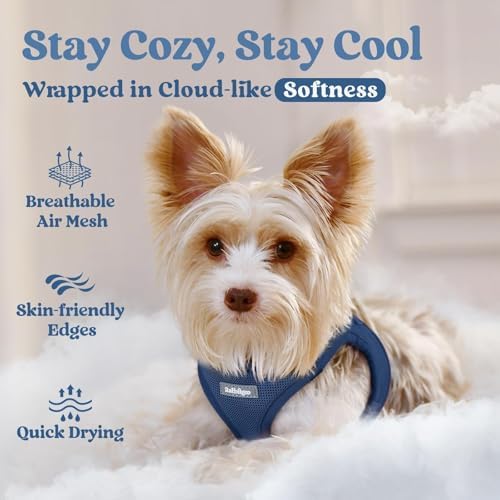 rabbitgoo Step-in Small Dog Harness, Puppy Vest for Small Sized Pet - Image 3