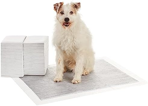 Amazon Basics Carbon Odor Control Dog and Puppy Pee Pads, 5-Layer Leak-Proof Super Absorbent, Quick-Dry Surface for Potty Training and Housebreaking, X-Large Size 28"x34", Gray, 50 Count by AmazonBasics