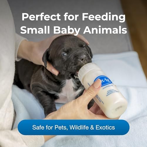 PetAg Nurser Bottle - 4 oz, Pack of 4 - Image 3