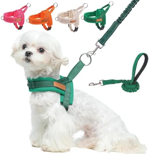 BEAUTYZOO Small Dog Harness and Leash Set, No Pull Step in Puppy Vest by BEAUTYZOO