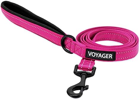 Best Pet Supplies Voyager Nylon Dog Leash - Fuchsia, Small by BestPetSuppliesLLC