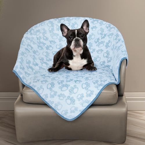 Stuffed Dog Blanket, Blue Premium Soft Throw Flannel Fleece Blanket for Medium Small Dogs, Pet Puppy Blankets for Kitten Cat, Christmas Pet Gift for Bed Cover, Couch, Crate(24x32 inch (Pack of 1)) by STUFFED