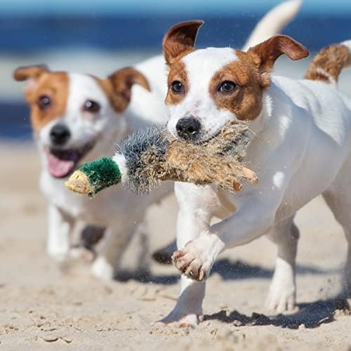 RUFFIN' IT Woodlands, Plush Mallard 8 in Squeaky Soft Stuffed, Dog Chew Toy - Image 4