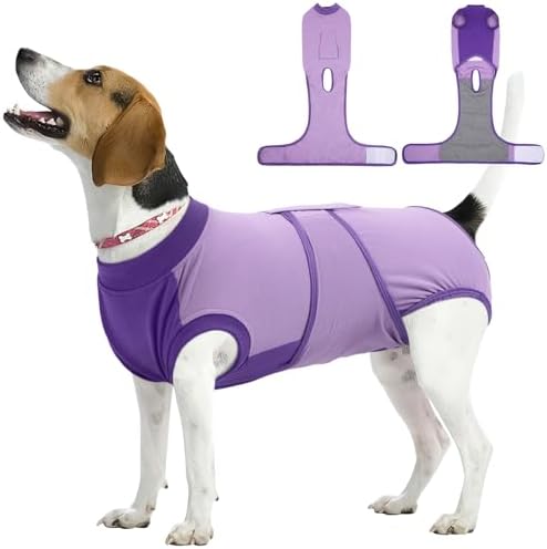 Kuoser Dog Recovery Suit, Female Male Spay Neuter Surgery Suit, Purple, M by Kuoser