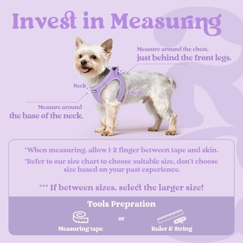 rabbitgoo Step-in Small Dog Harness, Puppy Vest for Small Medium Sized Pet - Image 2