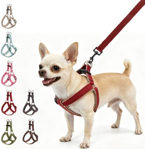 BEAUTYZOO Adjustable No Pull Dog Harness and Leash Set by BEAUTYZOO