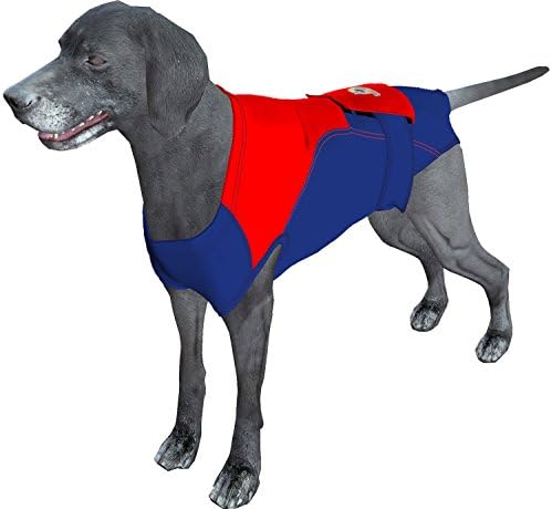 Surgi Snuggly Dog Surgery Recovery Suit, Cone Alternative, Spay/Neuter 2XL by Surgi%7ESnuggly