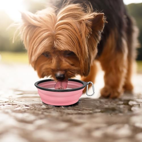Kytely Large Collapsible Dog Bowls 2 Pack, 34oz Foldable Dog Travel Bowl - Image 7