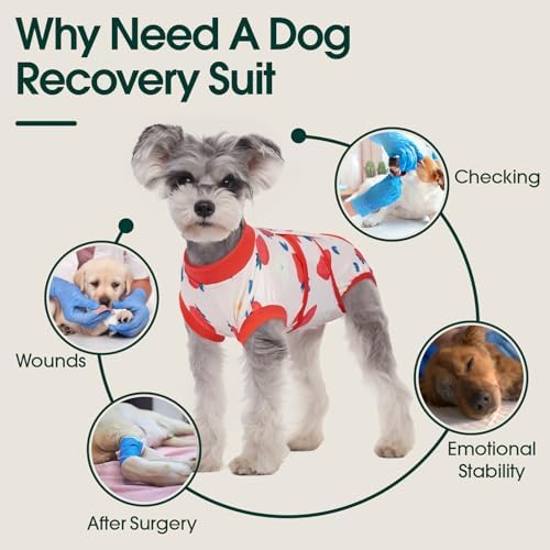 Kuoser Dog Recovery Suit, Female Male Spay Neuter Surgery Suit, Printed,XXL - Image 4