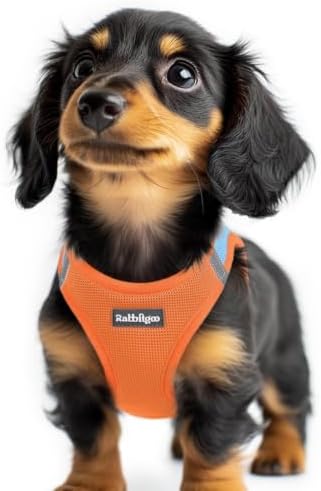 rabbitgoo Step-in Small Dog Harness, Puppy Vest for Small Sized Pet by rabbitgoo