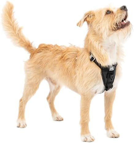 Kurgo Enhanced Strength Tru-Fit Smart Harness, Black, Small by Kurgo