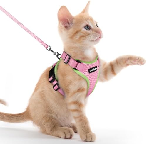 rabbitgoo Cat Harness and Leash Set, Escape Proof Vest, Pink & Light Green by rabbitgoo