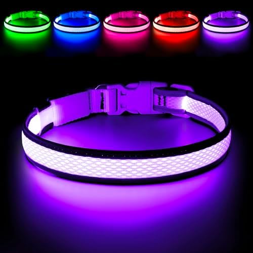 Flashseen LED Dog Collar, Light Up Dog Collar USB Rechargeable (Purple, Medium) by Flashseen