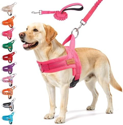 BEAUTYZOO Dog Harness for Large Dogs,No Pull Step in Pet Vest and Leash Set by BEAUTYZOO