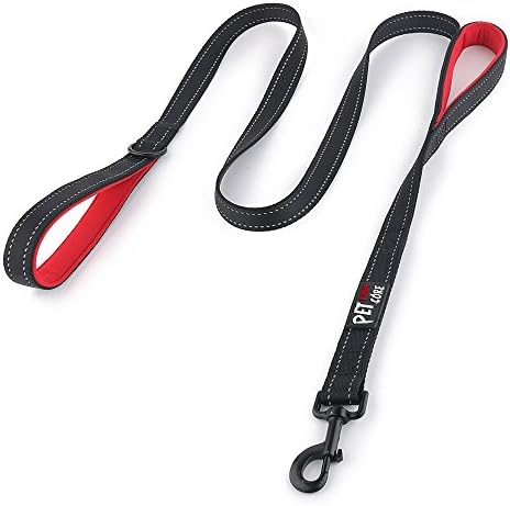 Plutus Pet Double Handle Dog Leash, 4 FT Long, for Medium Large Dogs by PLUTUSPET