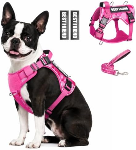 WINSEE No Pull Tactical Dog Harness with Leash Set with 2 Patches by WINSEE