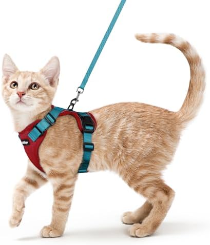 rabbitgoo Cat Harness and Leash Set, Escape Proof Vest, Red & Teal by rabbitgoo