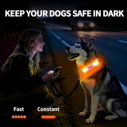 LaRoo LED Dog Collar Light - Glow Safety Light for Night Walking, Universal Fit for Collars/Leashes/Harnesses, Waterproof Pet Night Light for Dogs - Enhanced Visibility for Outdoor Safety - Image 5
